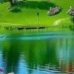 صورة الملف الشخصي
